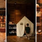 Step Inside Wild Coast’s Fascinating Fossil Room