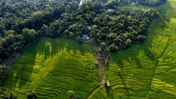 Intrepid-Travel-Sri-Lanka-accom-Jetwing-Kaduruketha-grounds-aerial-1.jpg