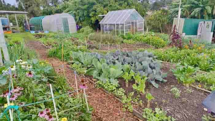 Kelmarna Grows Auckland’s Greenest Feel-Good Escape