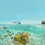 NCL Expands South Pacific Cruises for Aussies