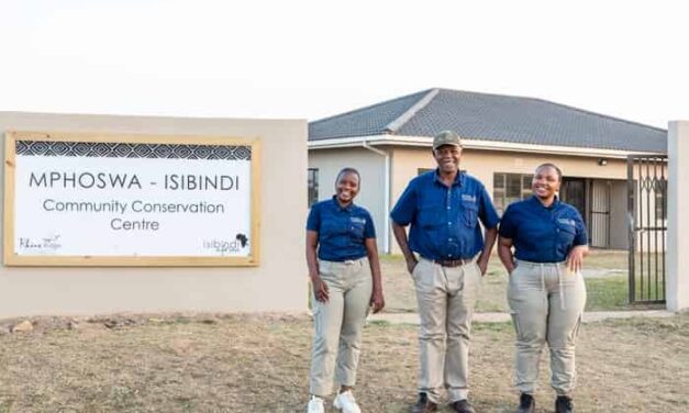 Rhinos, Reefs and Real Change: The Lodges Rewriting Conservation Tourism