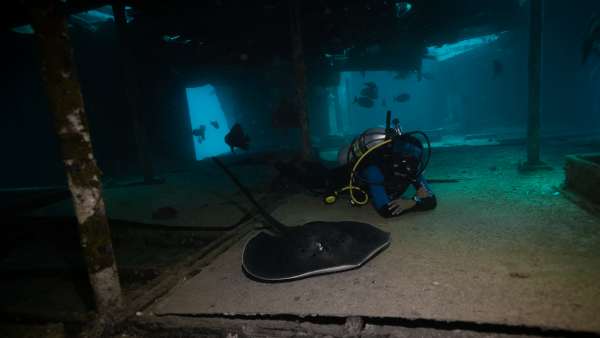 SW wreck jpg-36