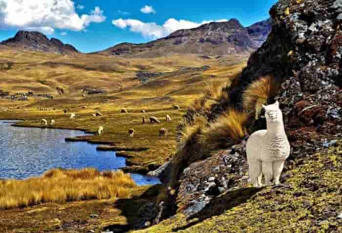 Peru Delivers Four Holidays for the Price of One