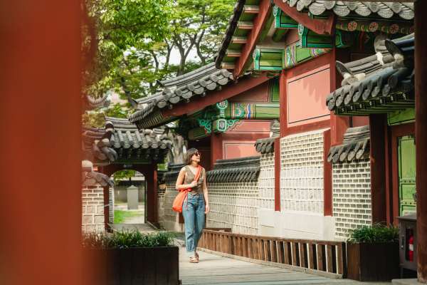 Families Flock to South Korea with New Custom Trips