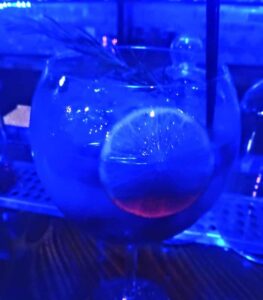 The Science Experiment at Soi95