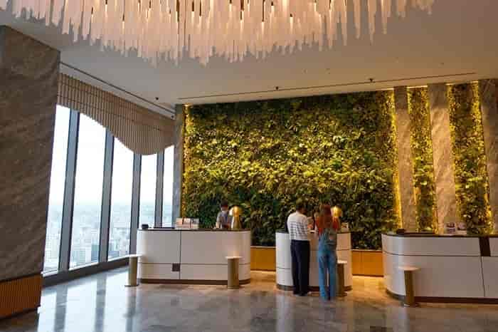 Tokyo Wellness Boom: Beat Jet Lag and Stress Like a Local