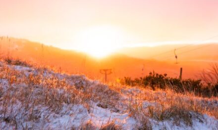 Snow Trip Savings: Winter Fun Without the Big Spend
