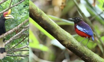 Tourism Malaysia Soars at Global BirdFair 2026
