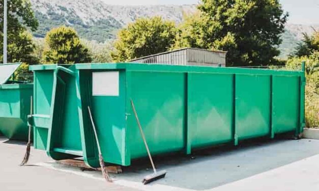 When Do You Need a Large Skip Bin Instead of a Mini One?