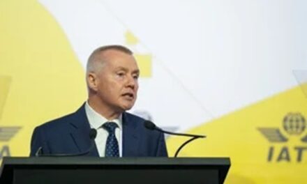 Airline Profits Halve as Walsh Targets Industry Failures