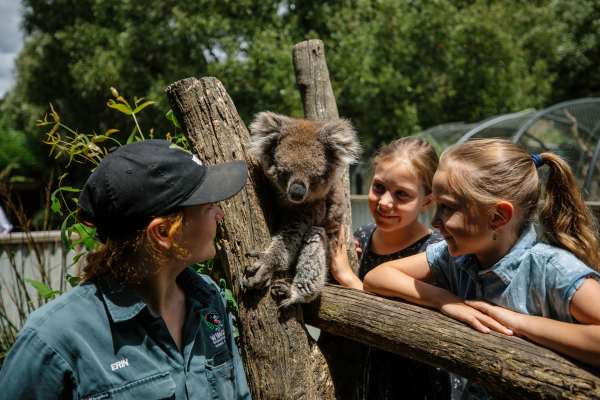 Tasmania’s Top Off-Season Wildlife Encounters