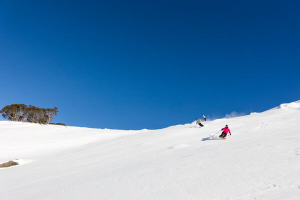 260715_91A1156---Perisher-Sunny-Day-600x400-b9d2ef37-53f6-4f72-9c8a-65f80bdfaeb6