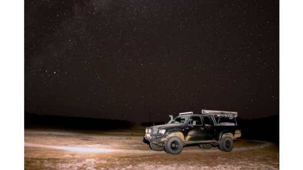 The Desert Comes Alive After Dark