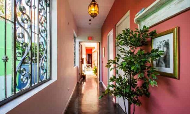 BOHO Bohemian: Curaçao’s Chic Caribbean Island Refuge