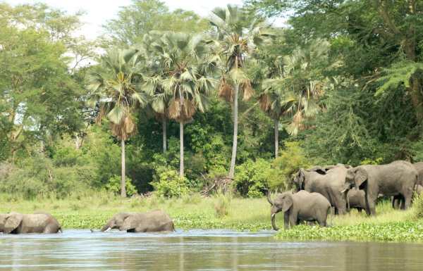Art Safari’s Malawi Painting Holiday Takes Centre Stage