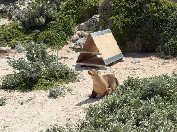 Tomorrow Beckons Redefines Regenerative Travel