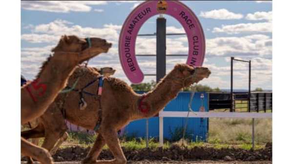 Big Gav Storms Bedourie as Boulia Race Looms
