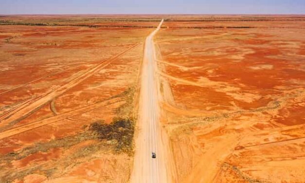 Simpson Desert Reopens as Wildflowers Transform the Outback!