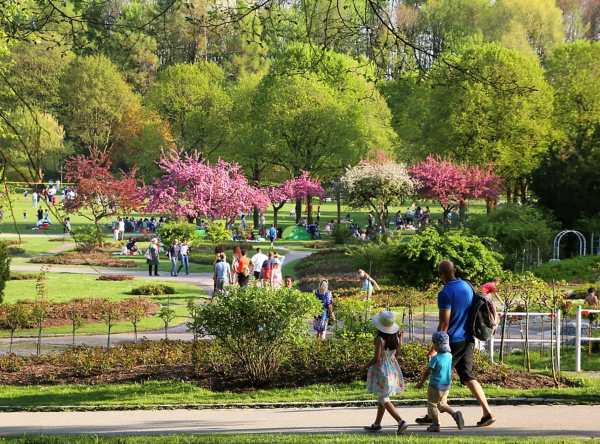 Find culture, curiosity and Bavarian charm in Munich