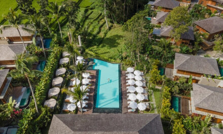 Offers of the Week! 🌍✈️ Top Travel Deals Await