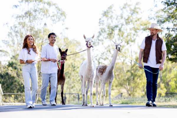 Moreton Bay Tourist Attraction - Travena Glen Farm