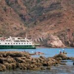 Baja Cruises Chart a Wilder Course Through the Sea of Cortez
