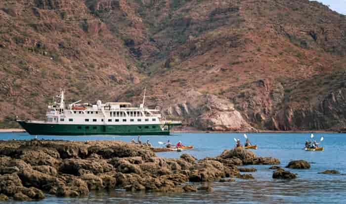 Baja Cruises Chart a Wilder Course Through the Sea of Cortez