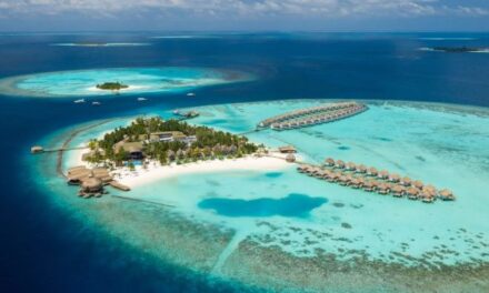 Offers of the Week! 🌍✈️ Top Travel Deals You Can’t Miss