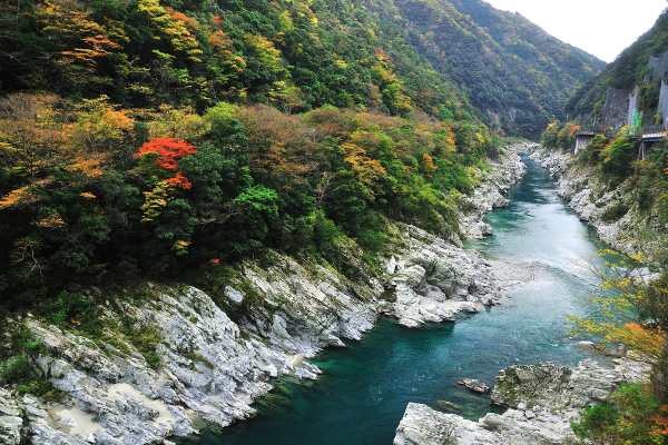 Taste Tokushima: Japan’s Flavour-Packed Hidden Gem