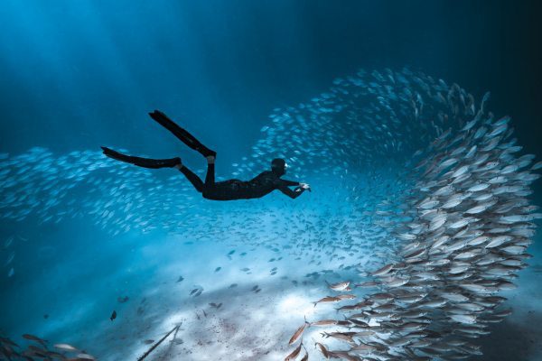 _Palau Hi Res 7 ©Josh Burkinshaw