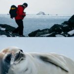 Aurora Expeditions Marks 35 Years with Big Savings