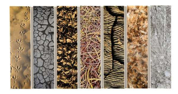 Reg Dodd, Textures of Country, 2012