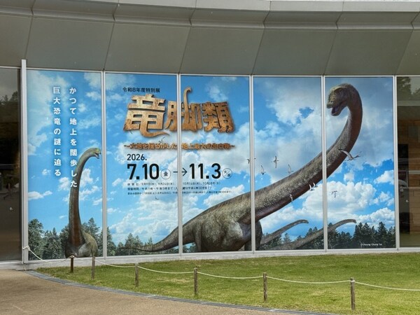 Stand Beneath Dinosaur Giants at Fukui Museum