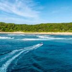 Thonga Guards the Indian Ocean’s Quiet Whale Corridor