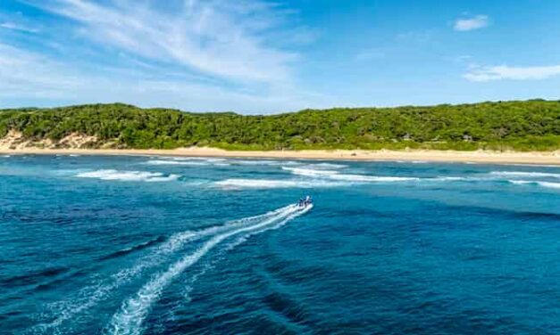 Thonga Guards the Indian Ocean’s Quiet Whale Corridor