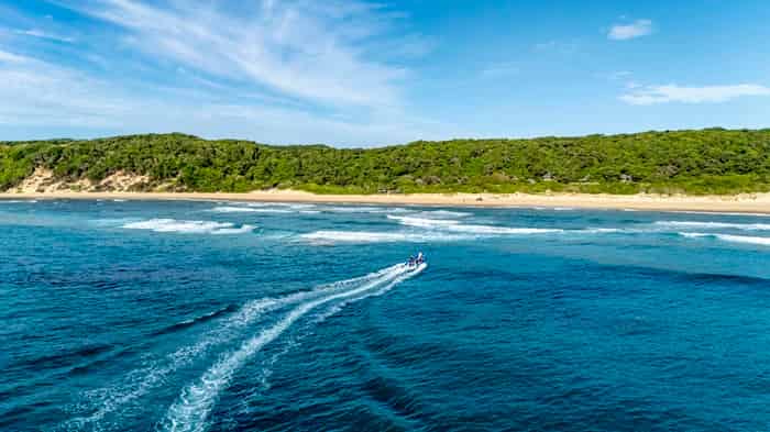 Thonga Guards the Indian Ocean’s Quiet Whale Corridor