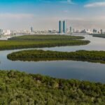 Ras Al Khaimah Sets Visitor Record in First Half of 2026