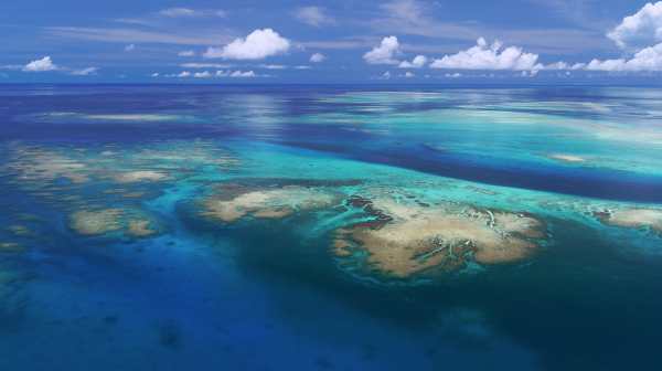 Escape Winter with Okinawa’s Subtropical Summer
