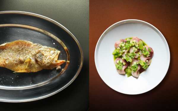 Yellow Croaker Fish & King Fish Crudo