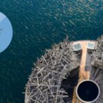 Arctic Bath Shines as LA LISTE 2026 Discovery Gem