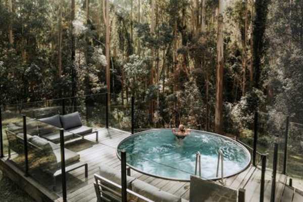 Carawirry Forest Escape: NSW’s Hidden Bushland Haven