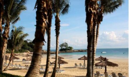 Club Med Unpacks Exclusive Air-Land Holiday Deals