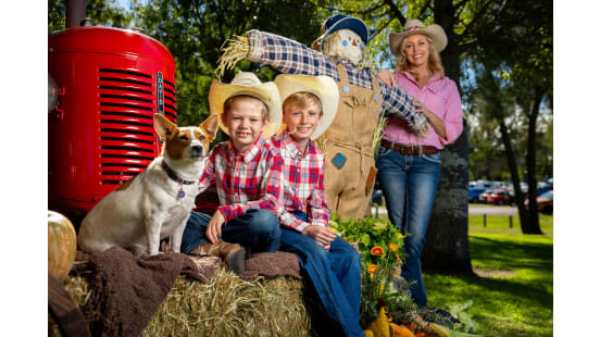 Laidley Spring Festival Blooms into a Haycation Haven