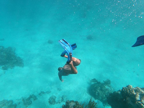 Alaia Belize Dives Deep With Marine Conservation Stay