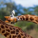 G Adventures Gets Flexy with New Booking Options