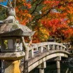 Japan Steals the Autumn Spotlight with Inside Travel