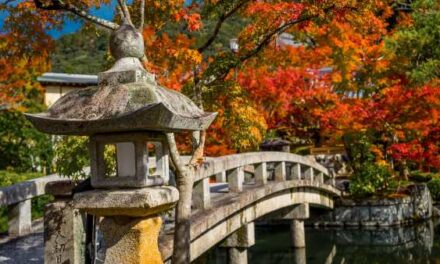 Japan Steals the Autumn Spotlight with Inside Travel