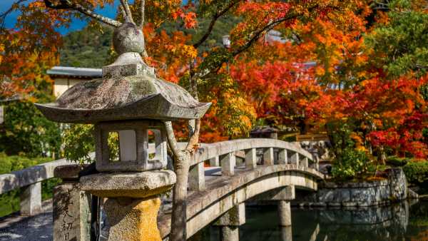 Japan Steals the Autumn Spotlight with Inside Travel