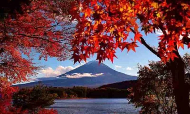 Japan Autumn Tours Turn Over a Brilliant New Leaf in 2026