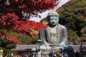 Japan Holidays - CAT_kamakura